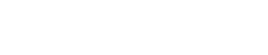 Текст