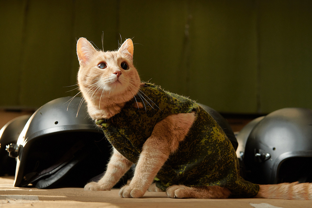 Кот Василий на НПП «КлАСС». Фото: Пресс-служба Департамента инвестиционной и промышленной политики города Москвы