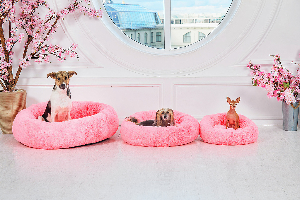 Фото: Alex Zotov/Shutterstock/FOTODOM